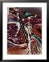 A Cyan Bike Against A Bright Red Background by Stacy Gold Limited Edition Print