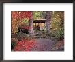 Japanese Gazebo With Fall Colors, Spokane, Washington, Usa by Jamie & Judy Wild Limited Edition Print