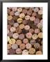 Wine Corks by Frank Tschakert Limited Edition Print