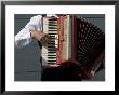 Street Accordionist, Prague, Czech Republic by David Barnes Limited Edition Pricing Art Print