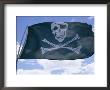 The Pirate Flag Known As The Jolly Roger Or Skull And Crossbones by Stephen St. John Limited Edition Print
