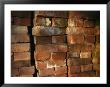 A Stack Of Bricks by Joel Sartore Limited Edition Print