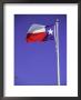 Texas State Flag by Chris Minerva Limited Edition Pricing Art Print