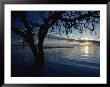 Dawn Rises Over A Serene Lake by Jason Edwards Limited Edition Print