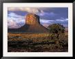 Morning Light, Monument Valley, Utah, Usa by Joanne Wells Limited Edition Print