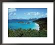 Bay, St. John, Us Virgin Islands by Barry Winiker Limited Edition Print