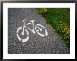 Bicycle Painted On Asphalt Marking Bicycle Path, Malmo, Skane, Sweden by Martin Lladã³ Limited Edition Print
