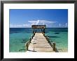 Providence Island, Bahamas, Caribbean by Peter Adams Limited Edition Print