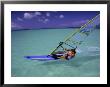 Windsurfing In Aruba, Caribbean Islands by Eric Sanford Limited Edition Print