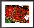 Chilli Peppers, Ferry Building Farmer's Market, San Fransisco, California, Usa by Inger Hogstrom Limited Edition Print