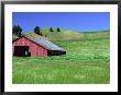 Barn In Field Of Wheat, Palouse Area, Washington, Usa by Janell Davidson Limited Edition Print
