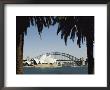 A View Of The Sydney Opera House And Harbour Bridge by Bill Ellzey Limited Edition Print
