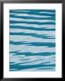 Atlantic Ocean Pattern, Kenai Fjords Nationial Park, Alaska by Rich Reid Limited Edition Pricing Art Print