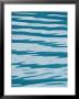 Atlantic Ocean Pattern, Kenai Fjords Nationial Park, Alaska by Rich Reid Limited Edition Print