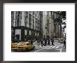 Fifth Avenue, Manhattan, New York City, New York, Usa by Amanda Hall Limited Edition Print