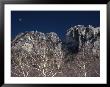 Seneca Rocks State Park, Wv by Jeff Greenberg Limited Edition Print