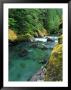Ohanapecosh River, Mt. Rainier National Park, Wa by Mark Windom Limited Edition Print
