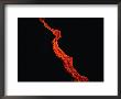 Lava Flow At Night, Kilauea, Usa by Peter Hendrie Limited Edition Print