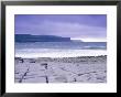 The Burren, Cliffs Of Moher, Ireland by Martin Fox Limited Edition Print