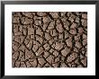 A Close View Of Dried Mud In The Chalbi Desert by Bobby Model Limited Edition Pricing Art Print