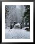 A Snow-Covered Footbridge Over The Merced River by Marc Moritsch Limited Edition Print