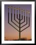 National Menorah, Elipse, Washington, D.C. by Richard Nowitz Limited Edition Print