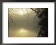 The Morning Sun Is Reflected On Otter Lake by Raymond Gehman Limited Edition Print