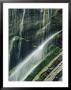 Waterfall Against Mossy Rock, Berchtesgaden National Park, Germany by Norbert Rosing Limited Edition Print