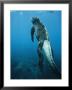 A Marine Iguana Swims Underwater by Nick Caloyianis Limited Edition Print