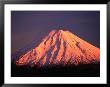 Mt. Ngauruhoe Illuminated In Sunlight, Tongariro National Park, Manawatu-Wanganui, New Zealand by David Wall Limited Edition Print