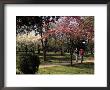 Students Walking Across College Campus by Stewart Cohen Limited Edition Print