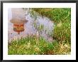 Reflection Of Peggy's Cove Lighthouse, Nova Scotia, Canada by Julie Eggers Limited Edition Print