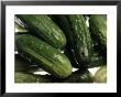 Cucumbers by Chris Lowe Limited Edition Pricing Art Print