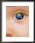 World Through The Eyes Of A Child by Greg Smith Limited Edition Pricing Art Print