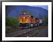 Freight Train Moving On Tracks, Stevenson, Columbia River Gorge, Washington, Usa by Steve Terrill Limited Edition Print