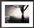 Standing In The Rain Under Tree by Jan Lakey Limited Edition Print
