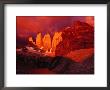The Torres Del Paine (Towers Of Paine) At Sunrise, Patagonia, Chile by Richard I'anson Limited Edition Pricing Art Print