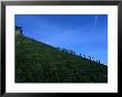 Tourists Climbing 200 Steps Up Butte Du Lion, Waterloo, Belgium by Martin Moos Limited Edition Print