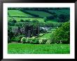 Llanthony Priory, Black Mountains, Llanthony, United Kingdom by Nicholas Reuss Limited Edition Pricing Art Print