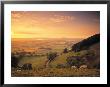Coaley Peak, Dursley, Cotswolds, England by Peter Adams Limited Edition Print