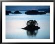 Dusk, Sitka Sound, Sitka, Ak by Ernest Manewal Limited Edition Print