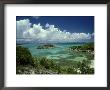 Bird Island, West Indies by Mike Hill Limited Edition Print