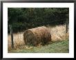 Barbed Wire Fence And Hay Roll In Farmers Field, Tye River Gap by Raymond Gehman Limited Edition Print