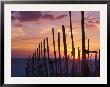 Sunset Through The Vines Of The Italian Wine Country, Tuscany, Italy by Janis Miglavs Limited Edition Print