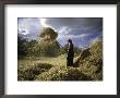 Woman With Straw, Tibet by Michael Brown Limited Edition Print