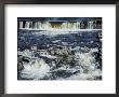 A View Of Rapids With A Man-Made Waterfall In The Background by Todd Gipstein Limited Edition Pricing Art Print