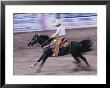 Cowboy Riding Horse At The Charro, Puerto Vallarta, Mexico by John & Lisa Merrill Limited Edition Pricing Art Print