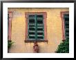 Statue Under Shutters In Seleginstadt, Hesse, Germany by Johnson Dennis Limited Edition Print