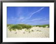 Beach And Dunes With Marram Grass, Dorset, Uk by Ian West Limited Edition Print