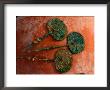 Tupu Pins, Empires Of The Sun, Wari, Huari, Conchopata, Ayacucho, Peru by Kenneth Garrett Limited Edition Print